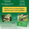Opération de broyage de végétaux