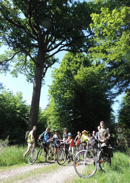 Sur la piste des arbres remarquables – balade à vélo