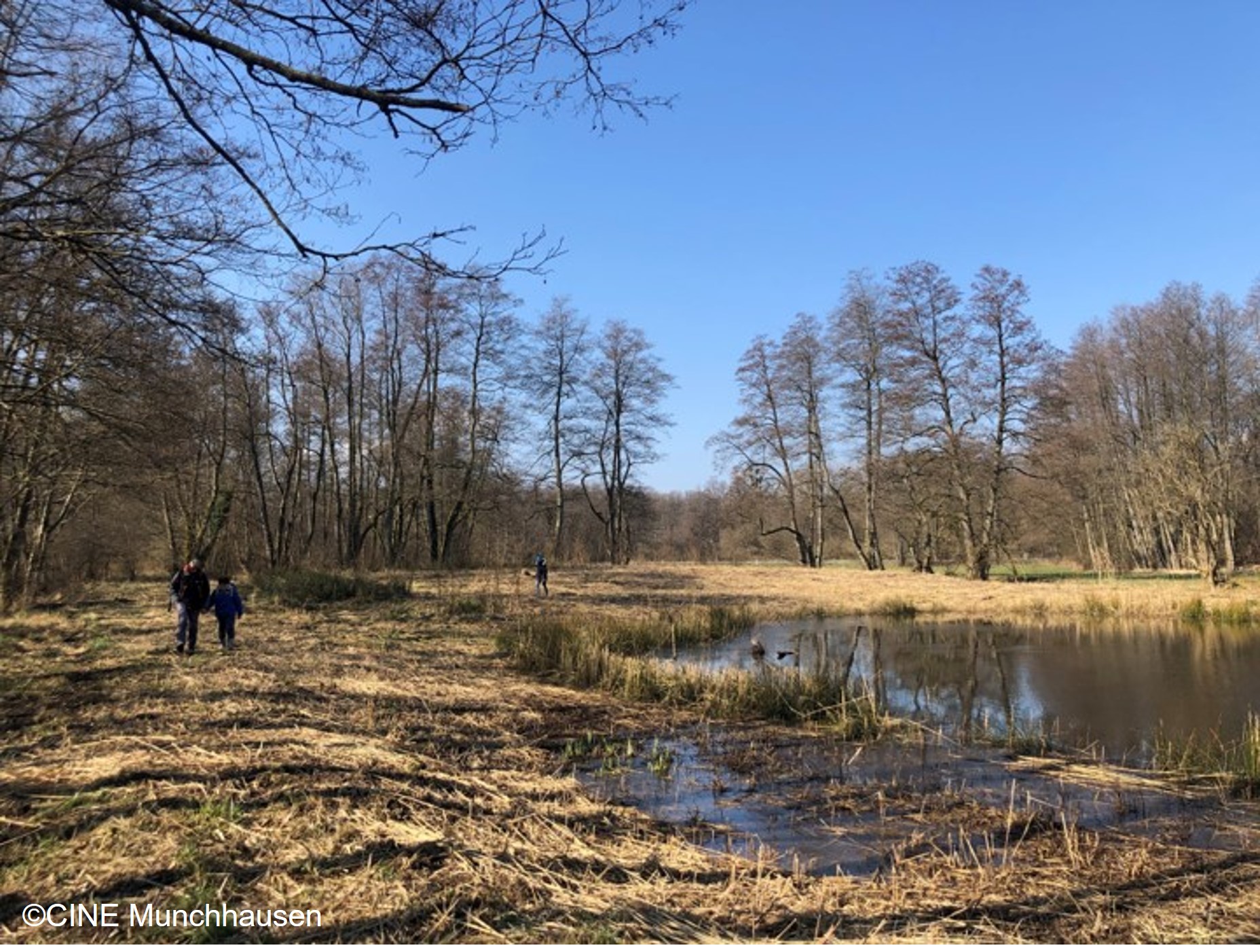 L’espace naturel sensible du Grossmatt