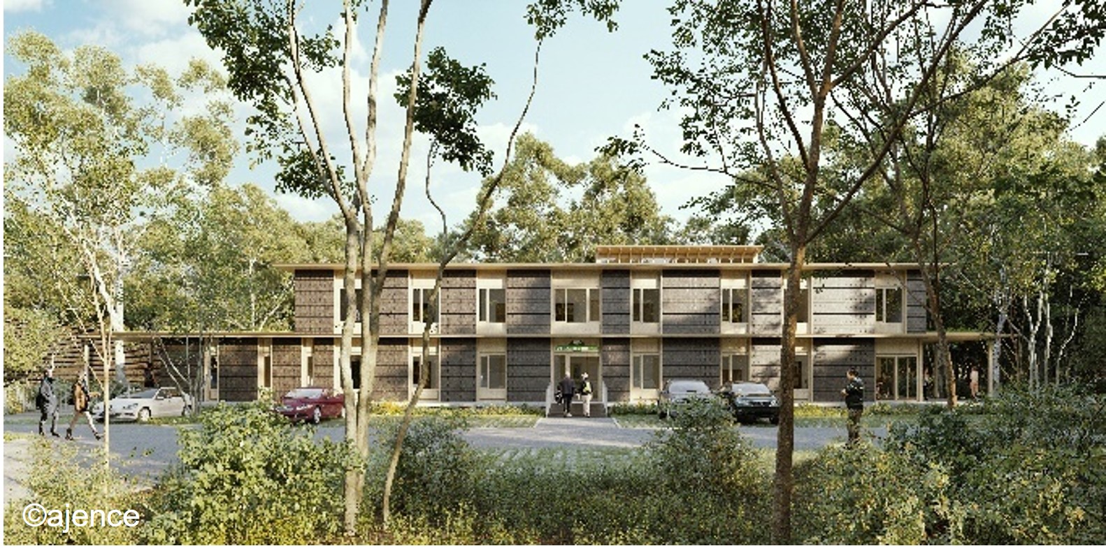Visite d’un bâtiment en bois local