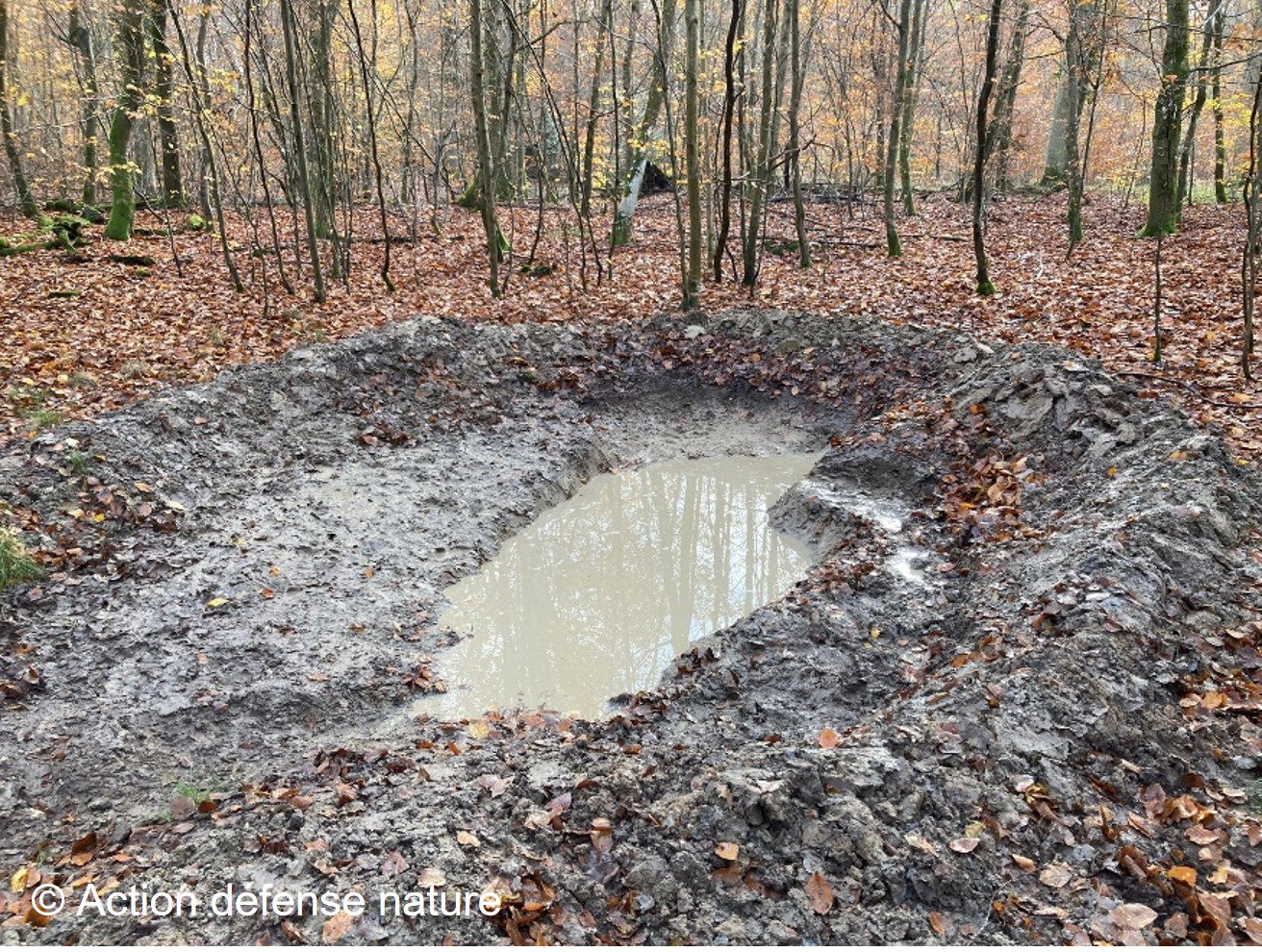 Chantier Nature : restauration de mares forestières