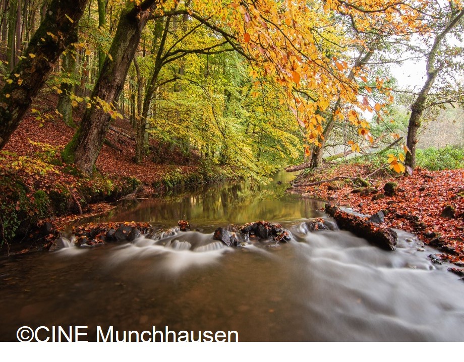 La rivière généreuse