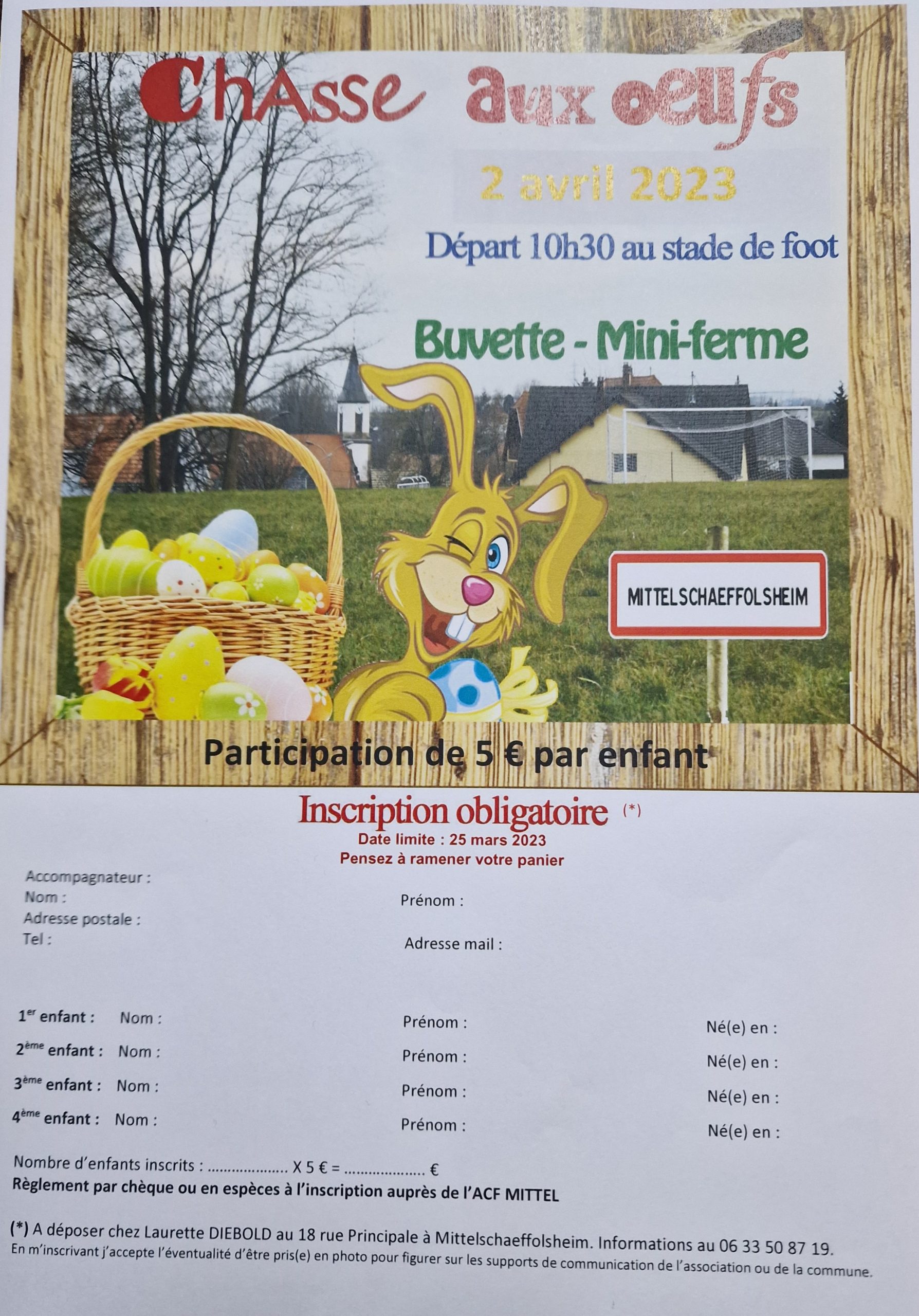 Chasse aux œufs