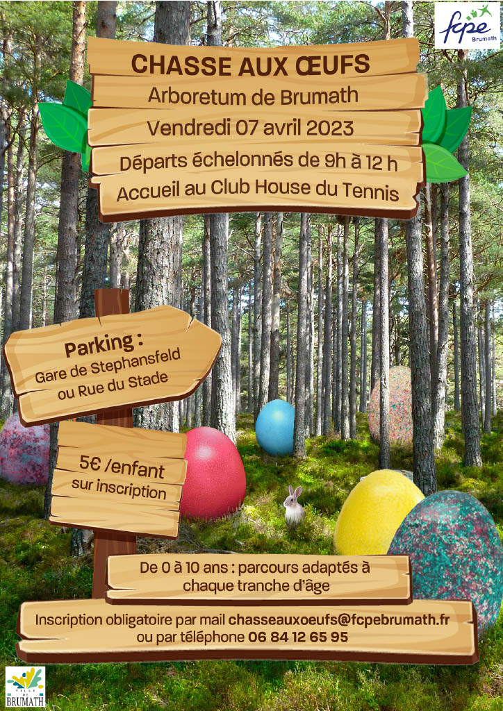 Chasse aux œufs