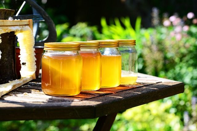 L’extraction du miel