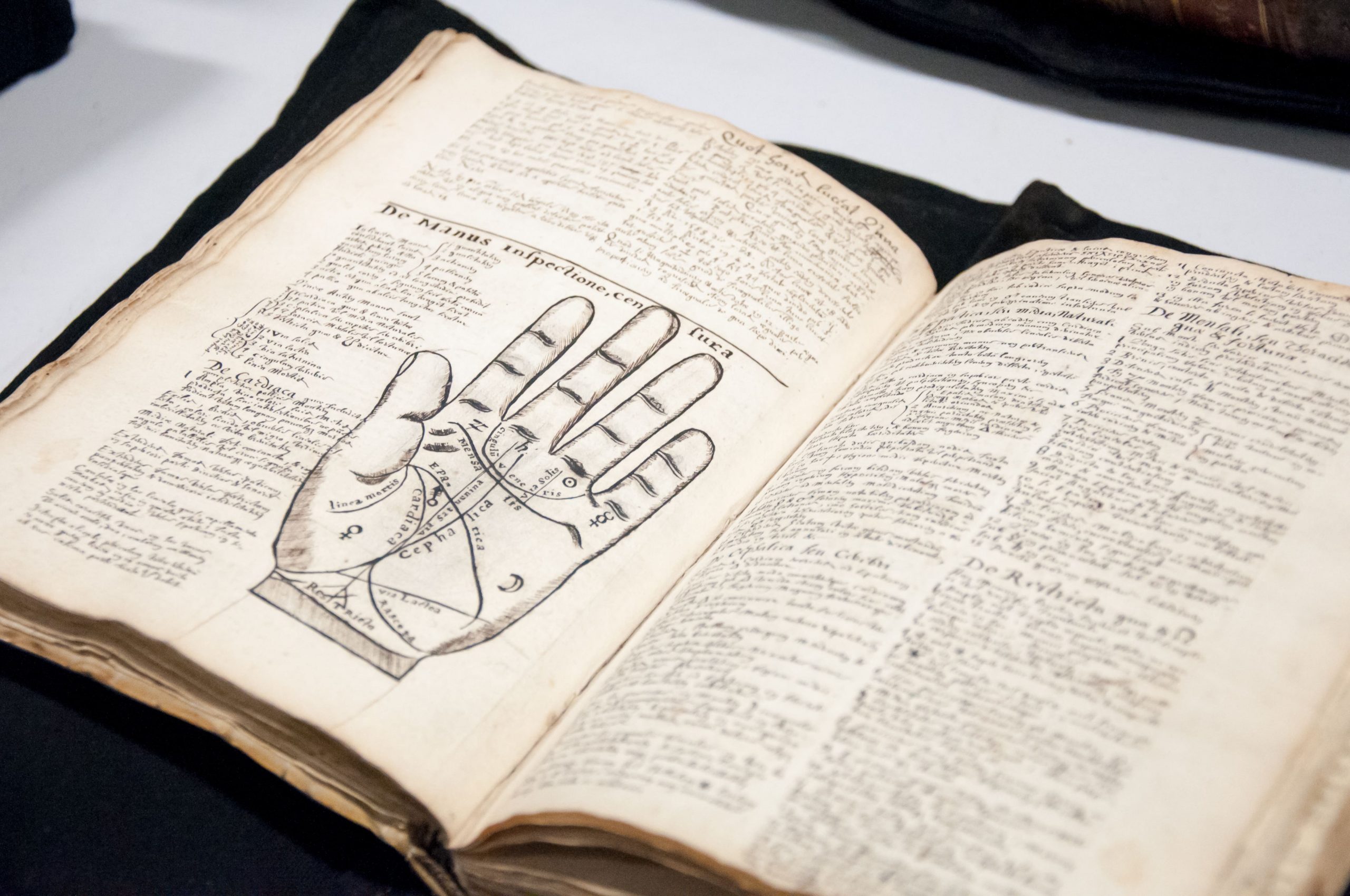 Les collections patrimoniales de la médiathèque de Haguenau