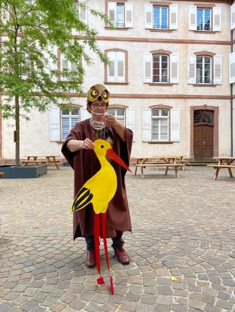 La chouette balade d’Athéna