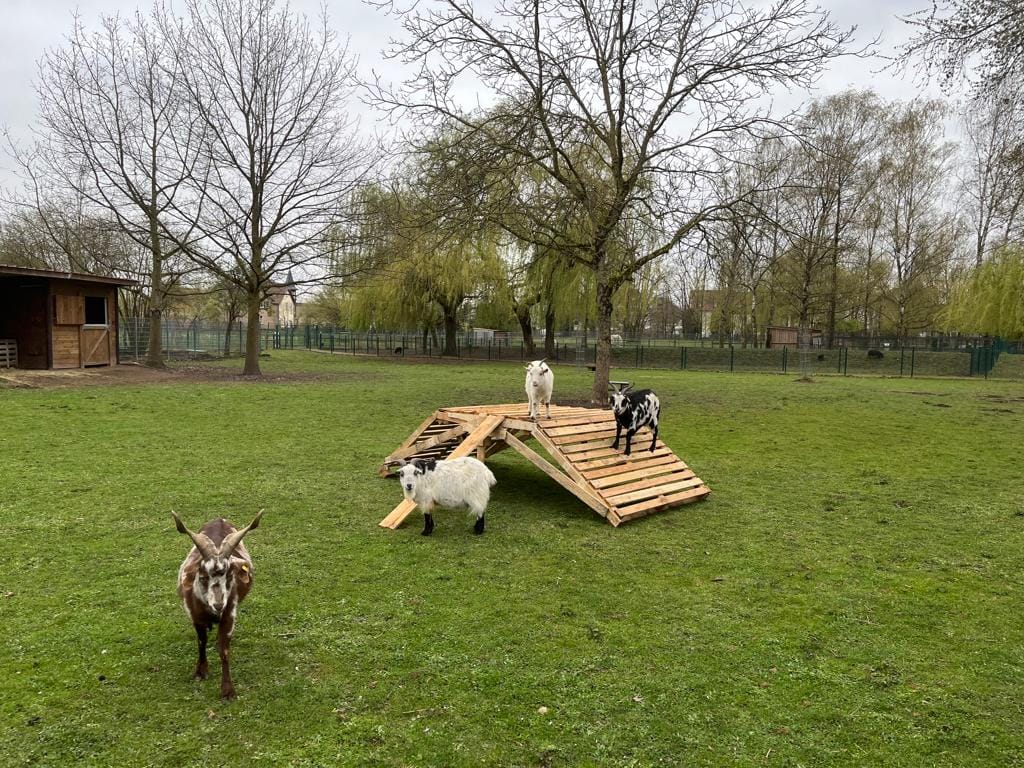 La Ferme pédagogique et la Fondation protestante du Sonnenhof