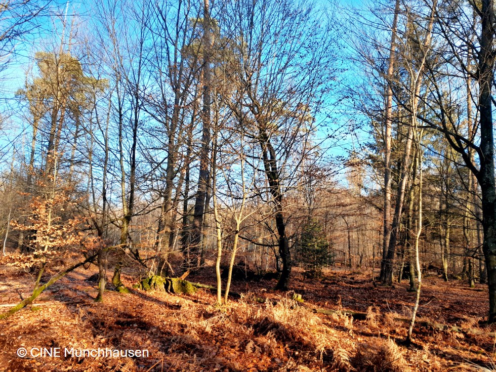 Le Grossmatt, un havre de nature