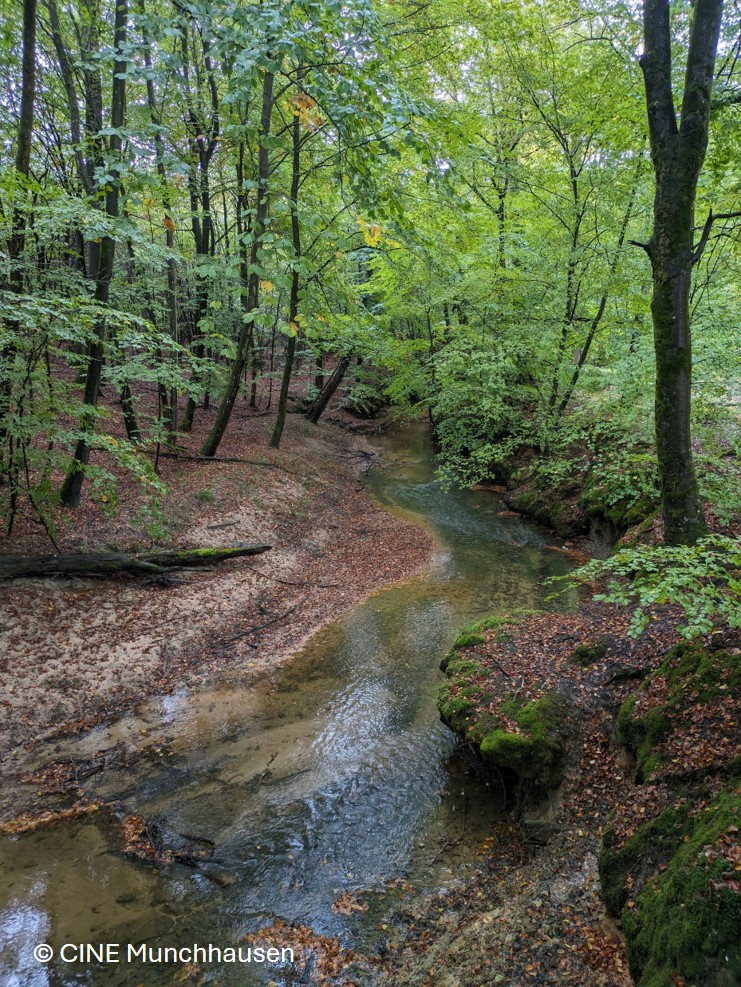 À la découverte d’un canyon forestier