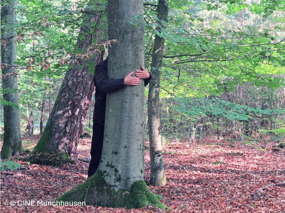 Sylvothérapie ou bien-être par la forêt