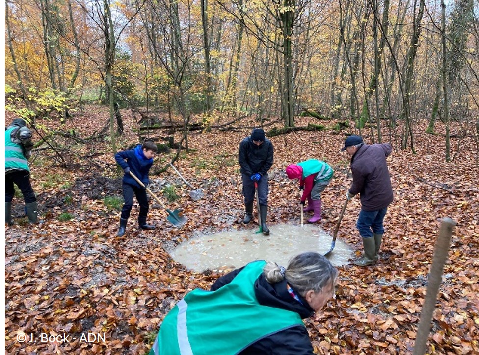 Chantier Nature : création de mares forestières