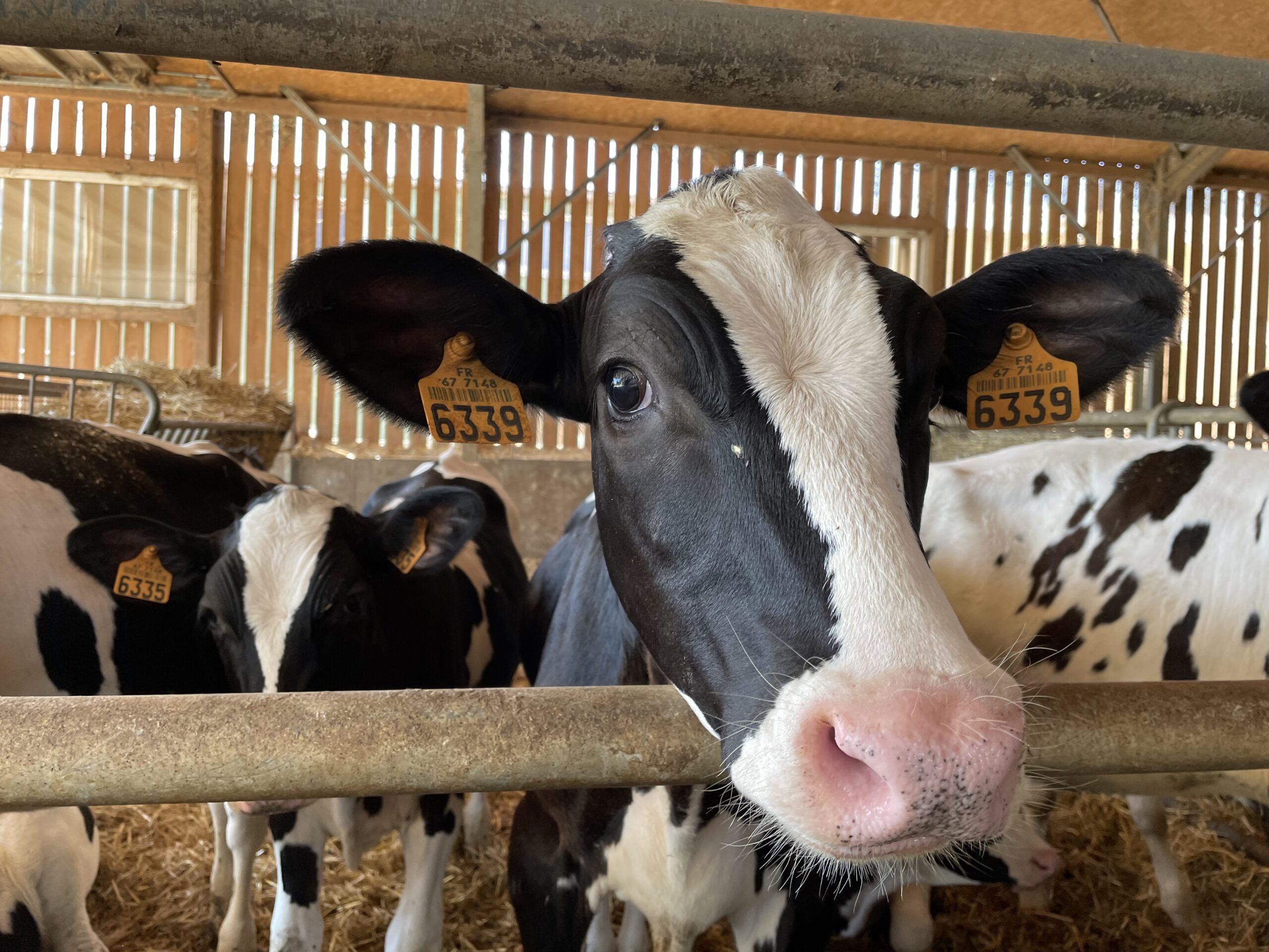 Ferme Adam